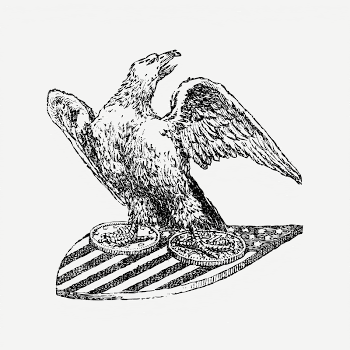 American eagle  clipart, black | Free PSD - rawpixel