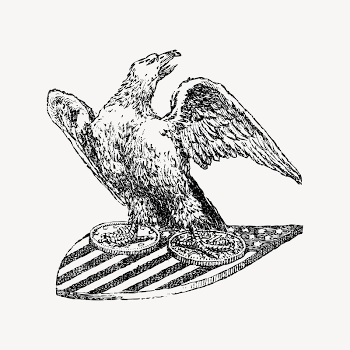 American eagle collage element, drawing | Free Vector - rawpixel