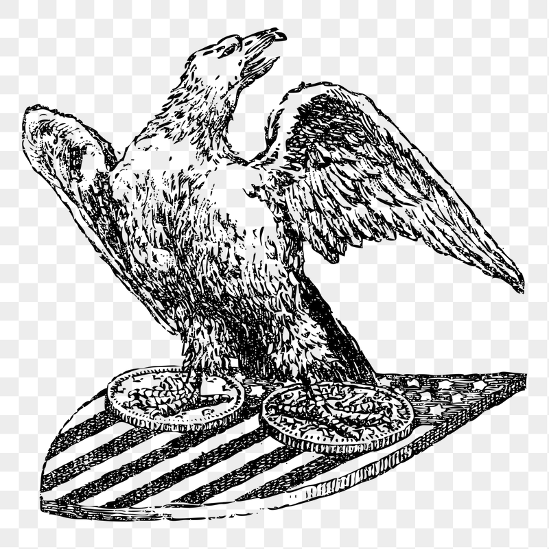 American eagle png sticker illustration, | Free PNG - rawpixel