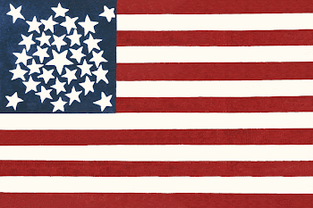 American flag campaign banner for Stephen | Free Photo Illustration - rawpixel
