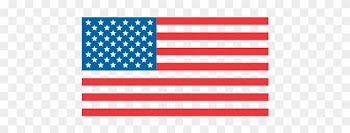 American Flag Logo Vector