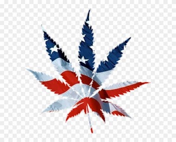 American Flag Marijuana Leaf