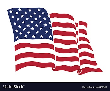  					American flag vector image														