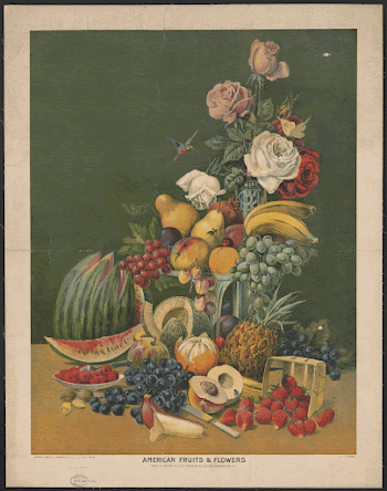 American fruits & flowers (1899). | Free Photo - rawpixel