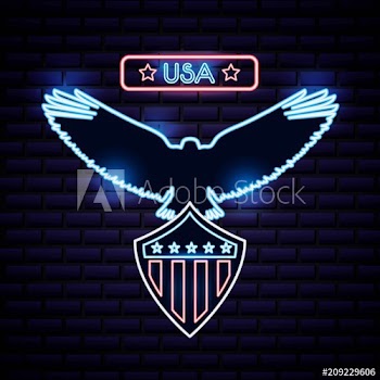 american independence day eagle holding usa shield love date vector illustration