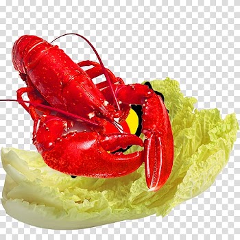 American lobster Homarus gammarus Seafood Palinurus elephas, Lobster vegetables in kind transparent background PNG clipart