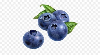 American Muffins Blueberry Drawing Watercolor painting - blueberry 