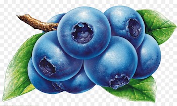 American Muffins Blueberry Juice Berries Fruit - blueberry 
