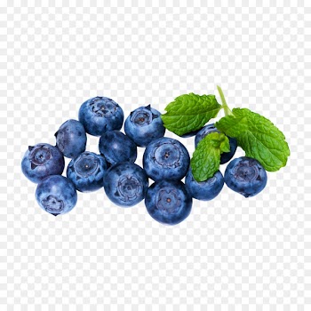 American Muffins Blueberry pie Portable Network Graphics Berries - blueberry 