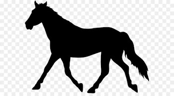 American Paint Horse Clip art - Horse Silhouette PNG Transparent Clip Art Image 
