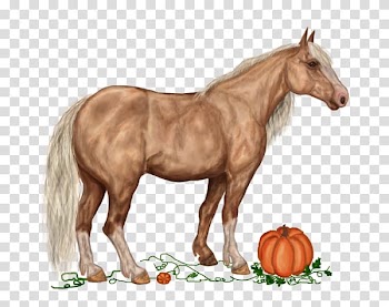 American Paint Horse Mustang French Trotter Howrse Akhal-Teke, Cartoon Horse modeling pumpkin decorating transparent background PNG clipart