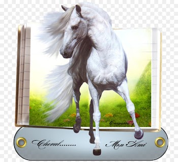 American Paint Horse Mustang White Portable Network Graphics Image - mustang 