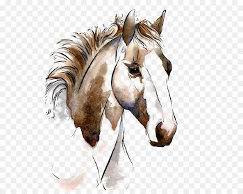 American Paint Horse Watercolor painting Horses in art Equestrianism - horse 