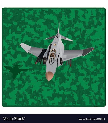 American plane copy vector image