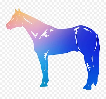 American Quarter Horse Appaloosa Clip art Clydesdale horse Breed -  