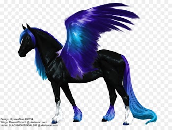 American Quarter Horse Pegasus Stallion Drawing - pegasus 