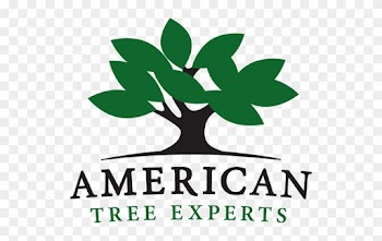 American Tree Experts - American Tree Experts Inc