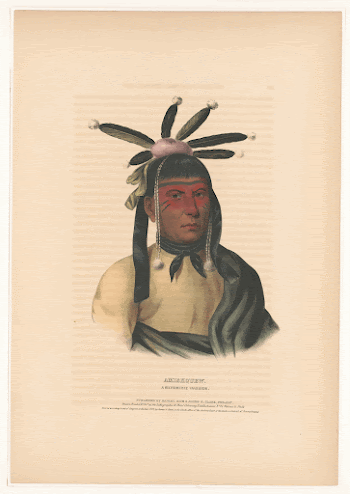 Amiskquew, a Menominie warrior (1843). | Free Photo - rawpixel