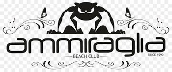 Ammiraglia Beach Club Drink Restaurant Beach volleyball - blue marlin ibiza beach club 