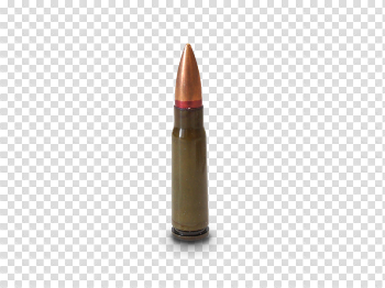 Ammunition Image