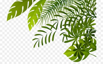 Ampera Bridge Clip art - Jungle PNG Image 