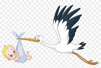 Ampliar Esta Imagen - Cigueña Para Baby Shower