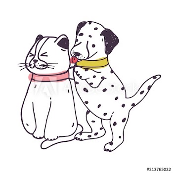 Amusing dog annoying cat