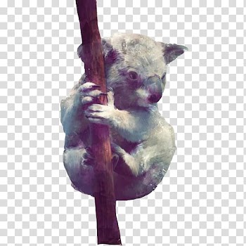 Amy Hamilton Design + Illustration Printmaking Graphic Designer Illustrator Artist, Koala watercolor material transparent background PNG clipart