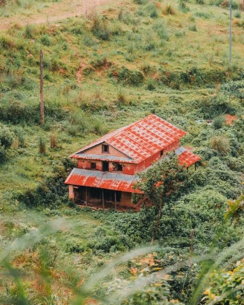 An Abandoned House Surrounded by Green Plants · Free Stock Photo