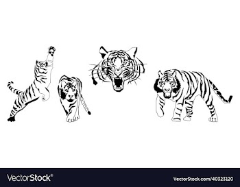 an aggressive tiger set2 new year christmas
