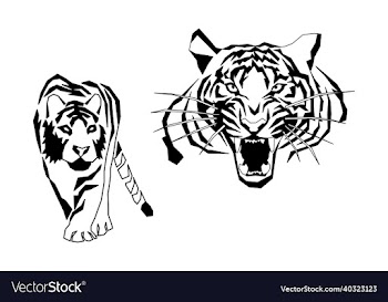 an aggressive tiger set4 new year christmas