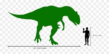 An Allosaurus Skeleton Was Discovered In The Como Bluff - Skeleton Image Of Allosaurus