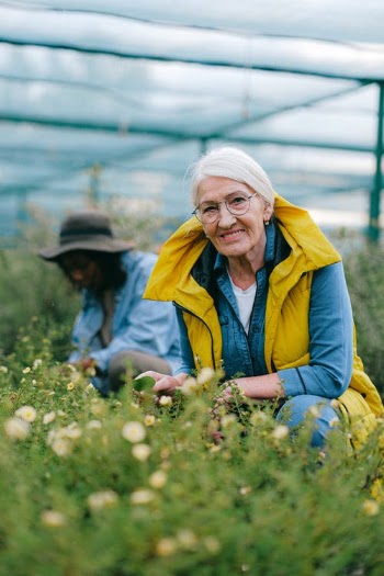 An Elderly Woman Gardening · Free Stock Photo