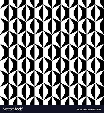 An elegant black and white pattern vector image