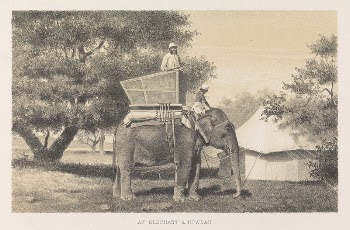 An Elephant and Howdah | Free Photo - rawpixel