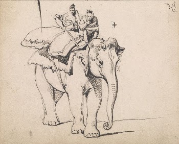 An Elephant | Free Photo - rawpixel