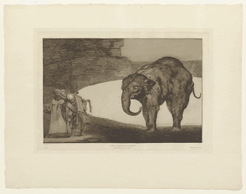 an elephant on the viewer's | Free Photo - rawpixel