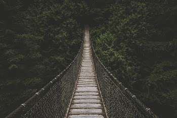 An empty suspension bridge leading | Free Photo - rawpixel