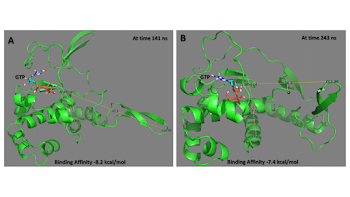 An example showing the binding of GTP to ZIKV polymerase at ...