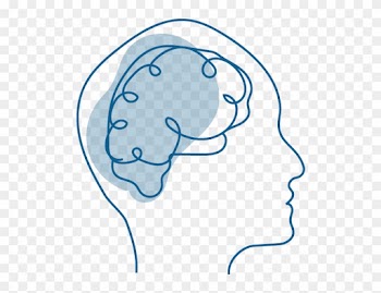 An Illustration Of A Person's Brain Inside Their - Wedding