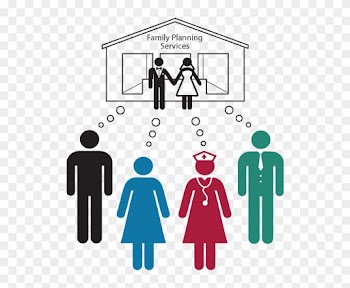 An Initial Situation Analysis, The Provisional Vision - Wait So Having Sex With Girls Is 50% Gay