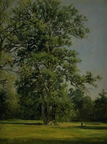 An oak tree.Part of the garden | Free Photo - rawpixel