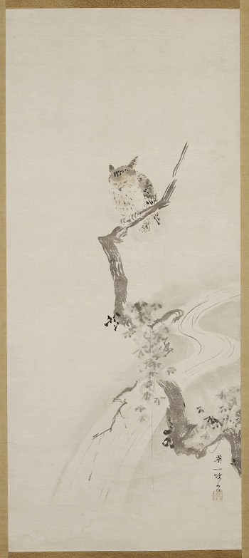 An Owl Perched in a Tree | Free Photo - rawpixel