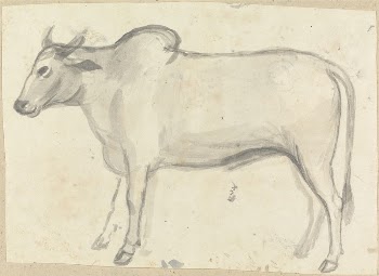 An Ox | Free Photo - rawpixel
