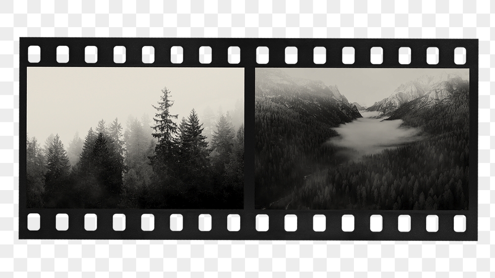 Analog film strip png sticker, | Free PNG - rawpixel