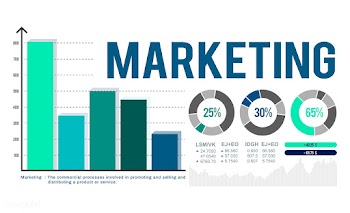 Analysis business chart | Free stock vector - 397723