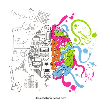 Analytical and creative brain Free Vector