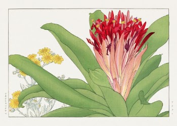 Ananas flower, Japanese woodblock art | Free Photo Illustration - rawpixel