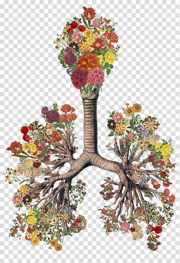Anatomic Roses s, flowers tree arrangement art transparent background PNG clipart