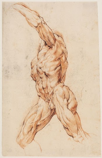Anatomical Study (écorchés). | Free Photo - rawpixel